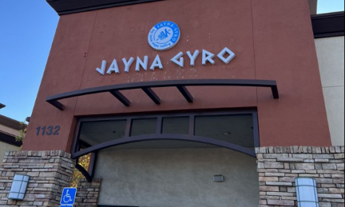 Jayna Gyro